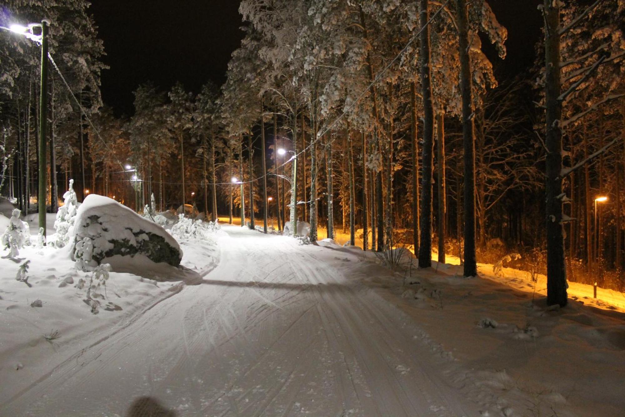 Padasjoki Kullasmarina Holiday Villas מראה חיצוני תמונה
